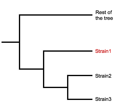 StrainSeeker output case 1