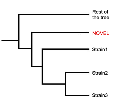 StrainSeeker output case 2.1