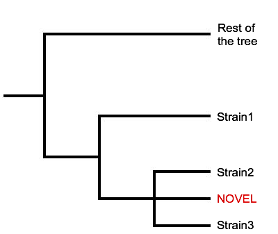 StrainSeeker output case 2.2