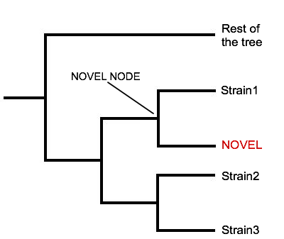 StrainSeeker output case 3